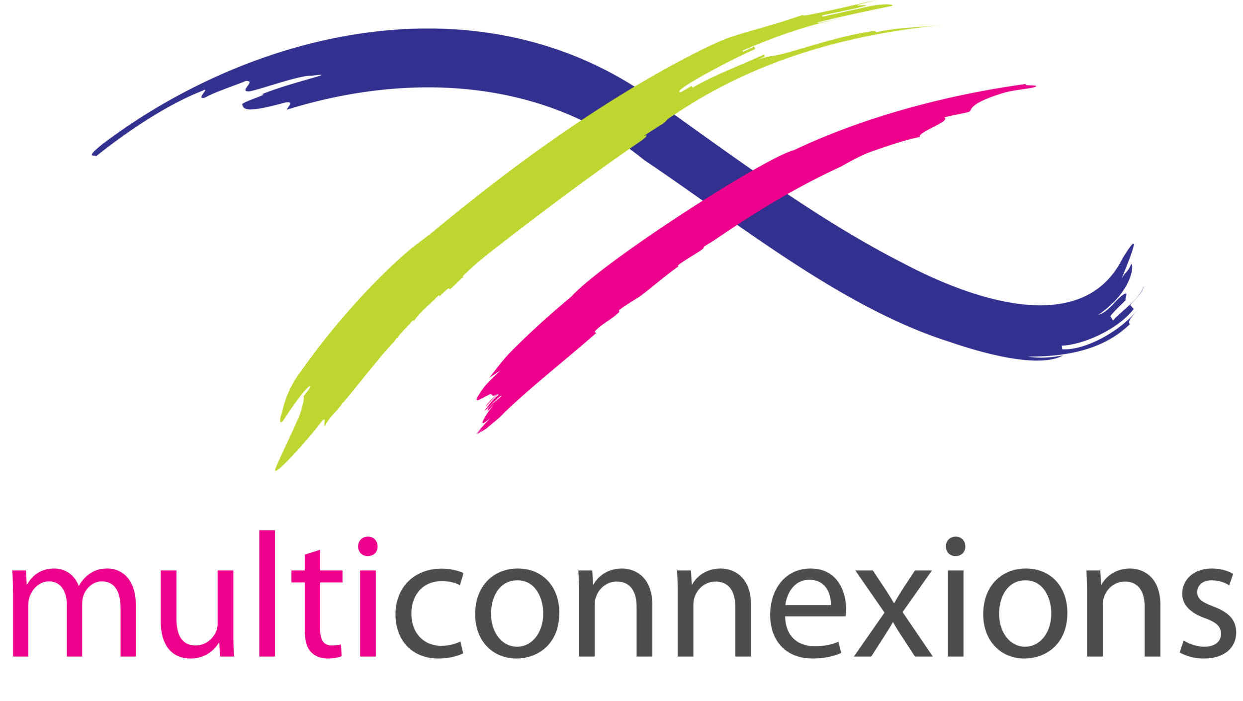 Multiconnexions _Color HI-RES.png