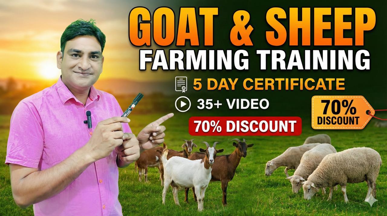 Goat and Sheep Farming Training